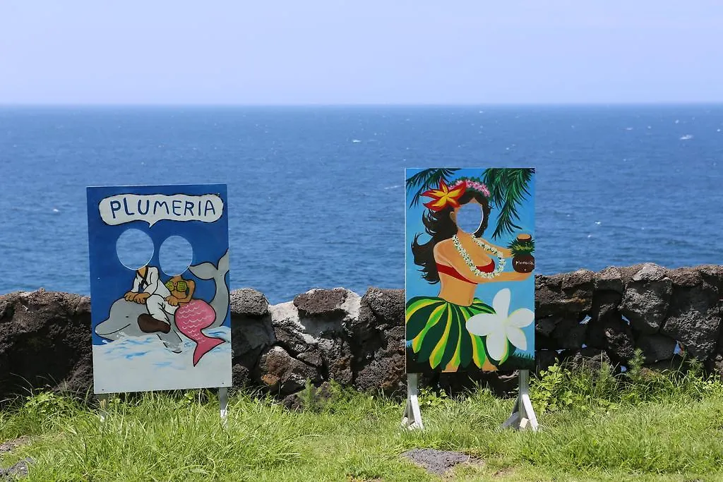 Plumeria Pension Jeju 0*,  South Korea